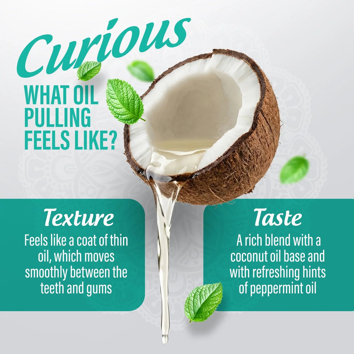 Nube Coconut Mint Oil Pulling Rinse